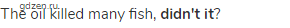The oil killed many fish, <strong>didn't it</strong>?