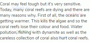 Coral may feel tough but it's very sensitive. Today, many coral reefs are dying and there are many