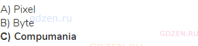 A) Pixel<br>В) Byte<br><strong>С) Compumania</strong>