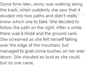 Some time later, Jenny was walking along the track, when suddenly she saw that it divided into two