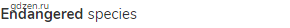 <strong>endangered </strong>species