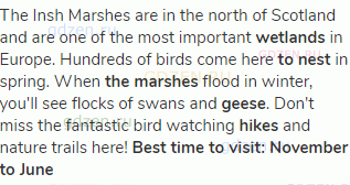 The Insh Marshes are in the north of Scotland and are one of the most important