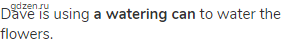 Dave is using <strong>a watering can</strong> to water the flowers.