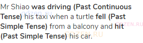 Mr Shiao <strong>was driving (Past Continuous Tense)</strong> his taxi when a turtle <strong>fell