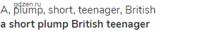 a, plump, short, teenager, British<br><strong>a short plump British teenager</strong>