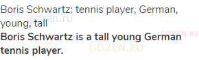Boris Schwartz: tennis player, German, young, tall<br><strong>Boris Schwartz is a tall young German