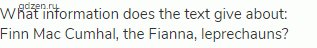 What information does the text give about: Finn Mac Cumhal, the Fianna, leprechauns?