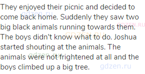 They enjoyed their picnic and decided to come back home. Suddenly they saw two big black animals