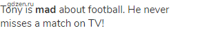 Tony is <strong>mad</strong> about football. He never misses a match on TV!