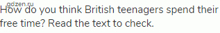 How do you think British teenagers spend their free time? Read the text to check.