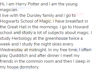 Hi, I am Harry Potter and I am the young magician.<br>