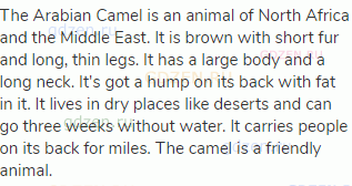 The Arabian Camel is an animal of North Africa and the Middle East. It is brown with short fur and