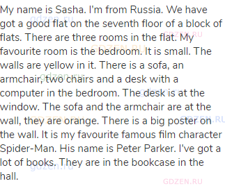 My name is Sasha. I'm from Russia. We have got a good flat on the seventh floor of a block of flats.