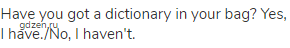 Have you got a dictionary in your bag? Yes, I have./No, I haven't.