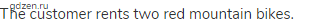 The customer rents two red mountain bikes. 