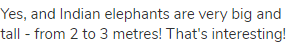 Yes, and Indian elephants are very big and tall - from 2 to 3 metres! That's interesting!