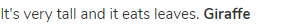 It's very tall and it eats leaves. <strong>Giraffe</strong>