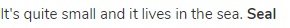 It's quite small and it lives in the sea. <strong>Seal</strong>