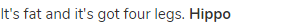 It's fat and it's got four legs. <strong>Hippo</strong>