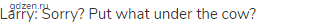 Larry: Sorry? Put what under the cow?