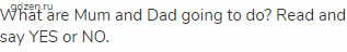 What are Mum and Dad going to do? Read and say YES or NO.