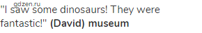 "I saw some dinosaurs! They were fantastic!" <strong>(David) museum</strong>