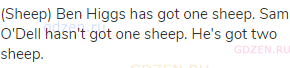 (sheep) Ben Higgs has got one sheep. Sam O'Dell hasn't got one sheep. He's got two sheep.