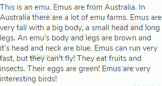 This is an emu. Emus are from Australia. In Australia there are a lot of emu farms. Emus are very