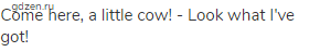 Come here, a little cow! - Look what I've got!