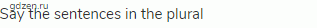 Say the sentences in the plural