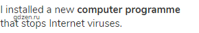 I installed a new <strong>computer programme</strong> that stops Internet viruses.