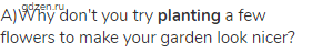 a)Why don't you try <strong>planting</strong> a few flowers to make your garden look nicer?