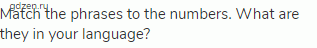 Match the phrases to the numbers. What are they in your language?