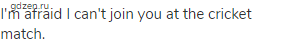 I'm afraid I can't join you at the cricket match.