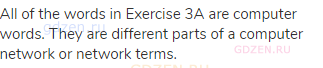 All of the words in Exercise 3A are computer words. They are different parts of a computer network