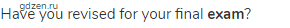 Have you revised for your final <strong>exam</strong>?