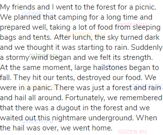 My friends and I went to the forest for a picnic. We planned that camping for a long time and