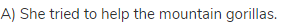 A) She tried to help the mountain gorillas.