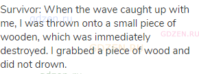 Survivor: When the wave caught up with me, I was thrown onto a small piece of wooden, which was