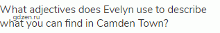 What adjectives does Evelyn use to describe what you can find in Camden Town?