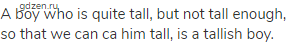 A boy who is quite tall, but not tall enough, so that we can ca him tall, is a tallish boy.