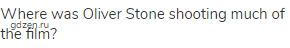Where was Oliver Stone shooting much of the film?
